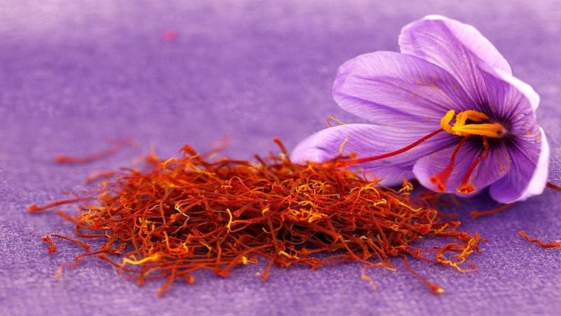 Saffron, one of the souvenir of Iran